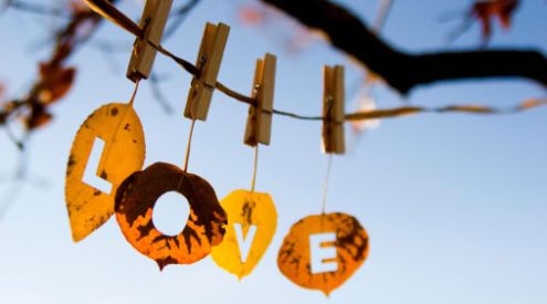 The wonders of a whirlwind romance