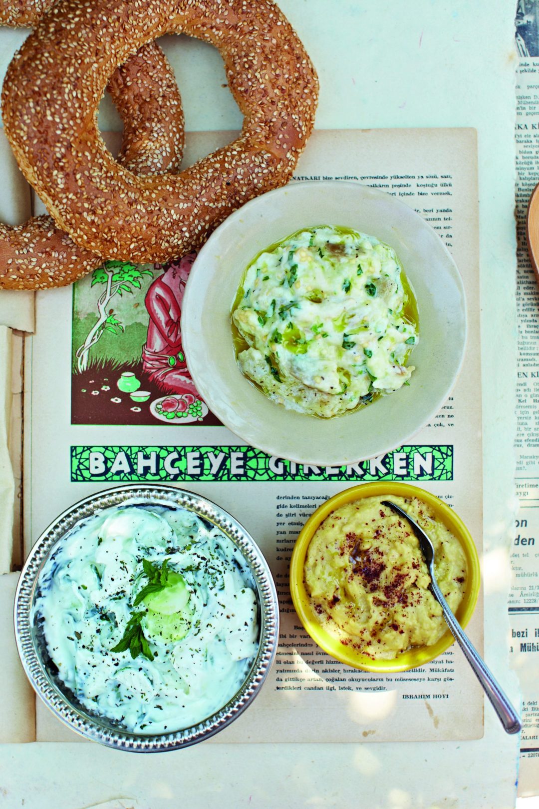 Hummus, Cacik Cucumber Yogurt Dip and and Patlican Ezmesi Smoked Aubergine Dip