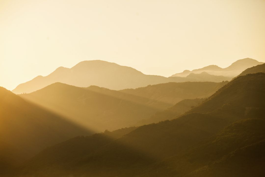 Have an adventure of the mind