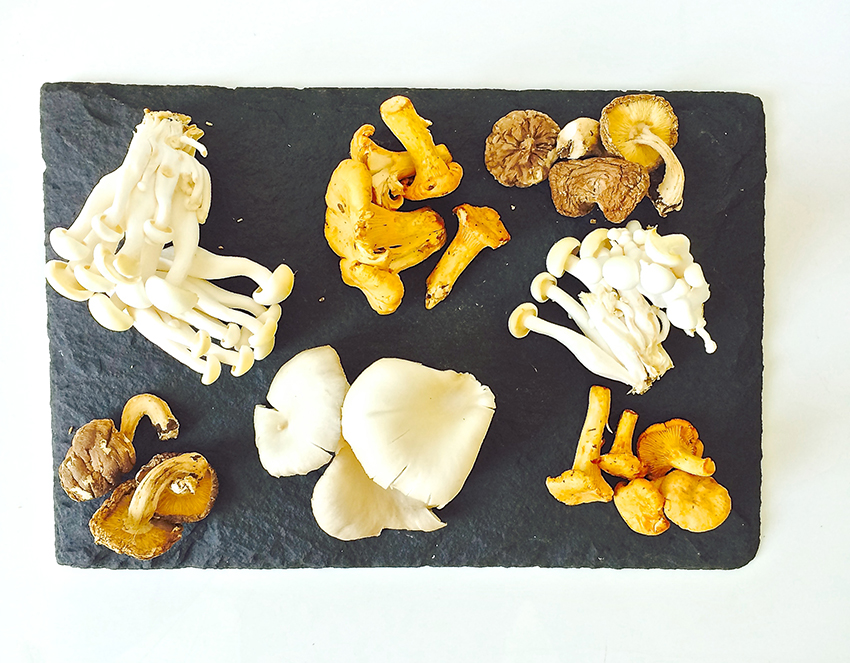 Nutrition Notes: The magic of mushrooms