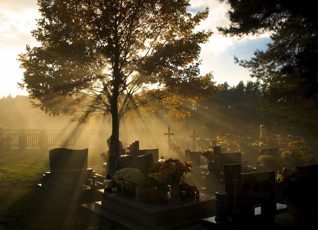 What can you learn from death?