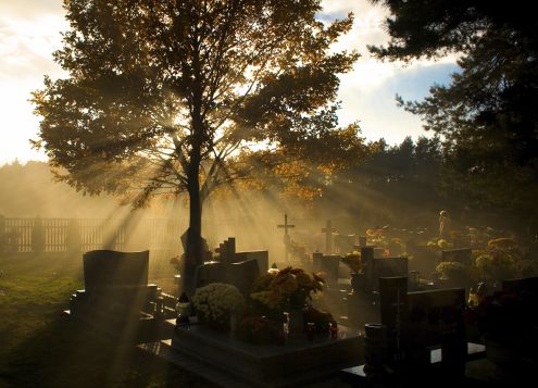 What can you learn from death?