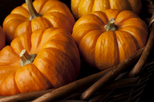 BRAIN FOOD TIP OF THE DAY