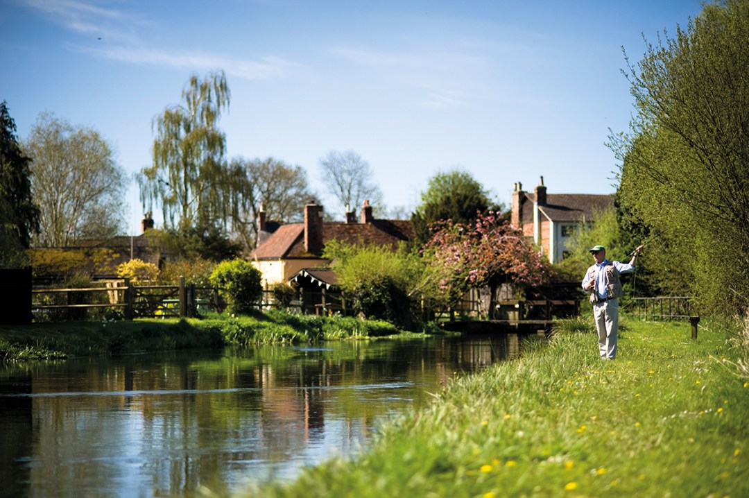 Just for the weekend: The Greyhound on the Test, Hampshire