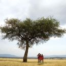 WIN: What does your ideal holiday say about you?