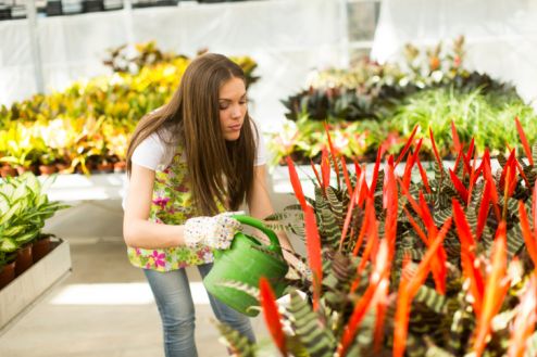Are you a generalist?