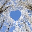 Why vulnerability is the path to love