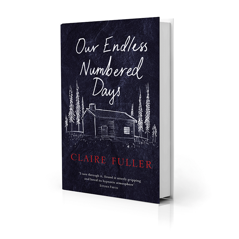 New fiction: Our Endless Numbered Days