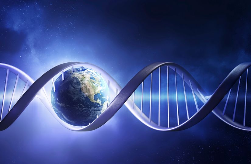 What your DNA can tell you