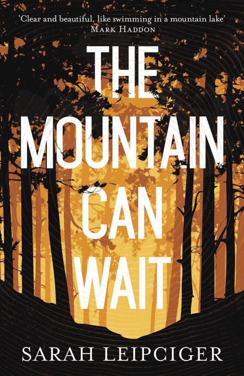 New fiction: The Mountain Can Wait