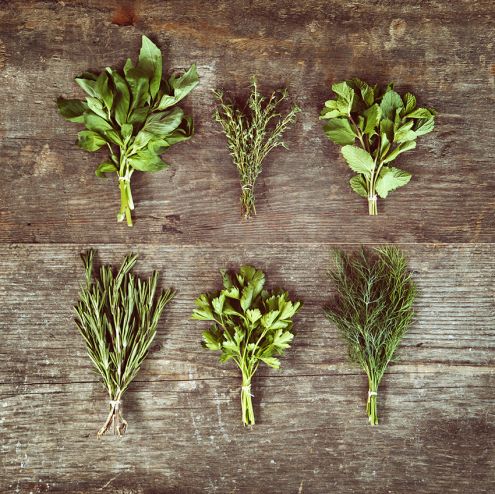 Use herbs for health