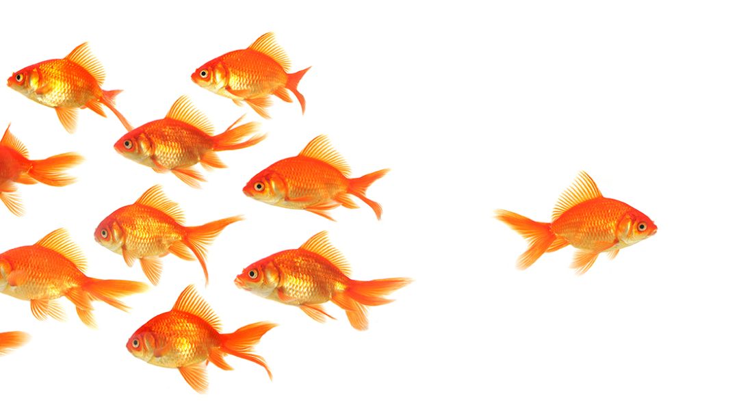 I feel pressure to socialise