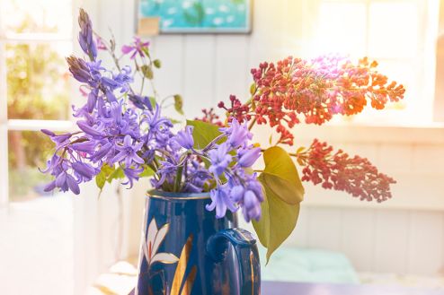 The power of flowers to enhance wellbeing