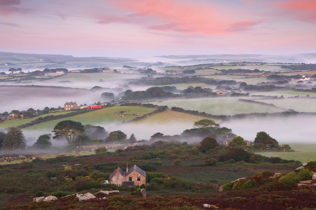 Book: celebrating conservation