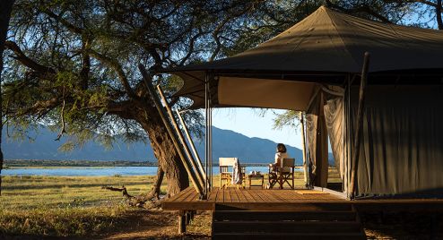 Eco escapes: safari magic