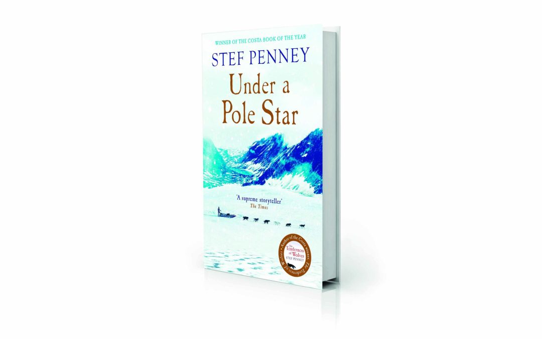 New Fiction: Under A Pole Star