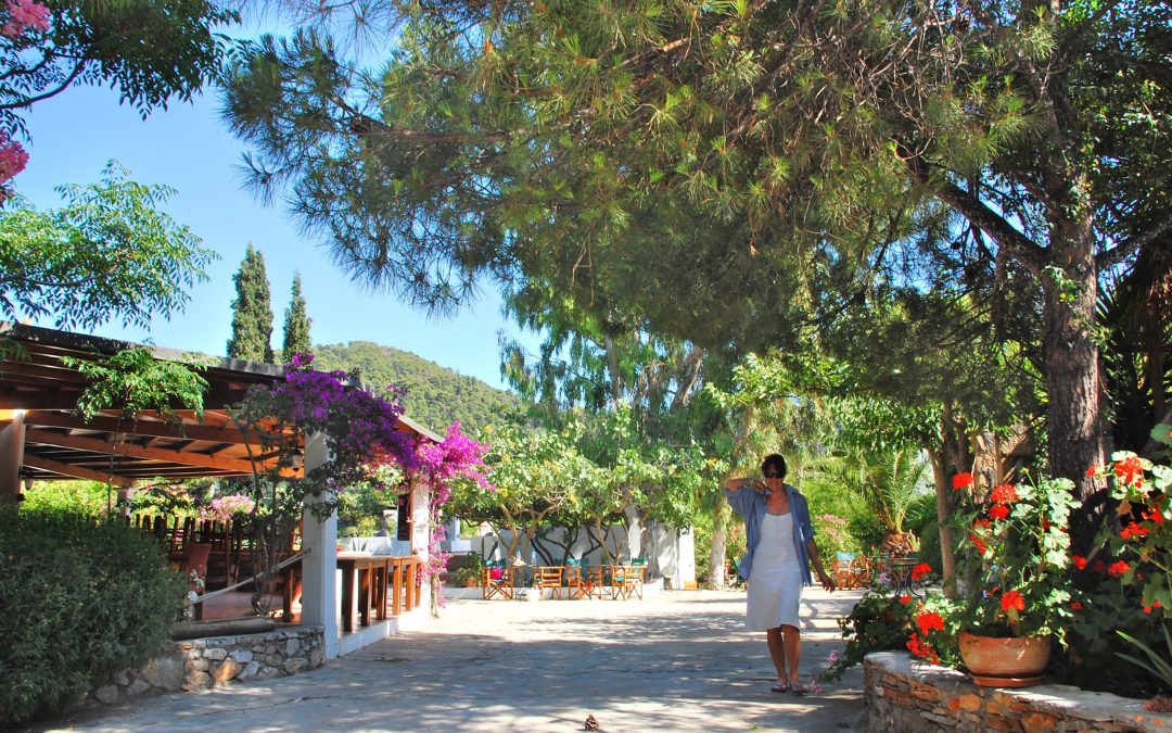 Skyros: the holiday you can take home with you