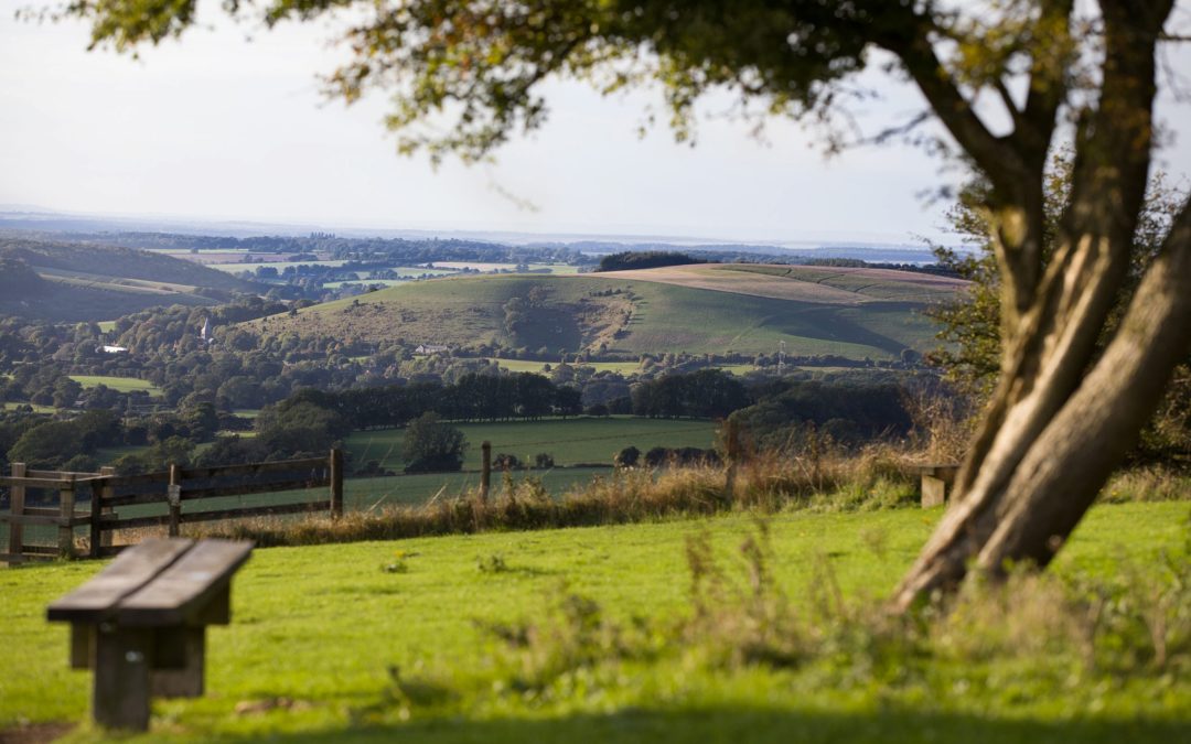 Literary walks and romance in East Hampshire