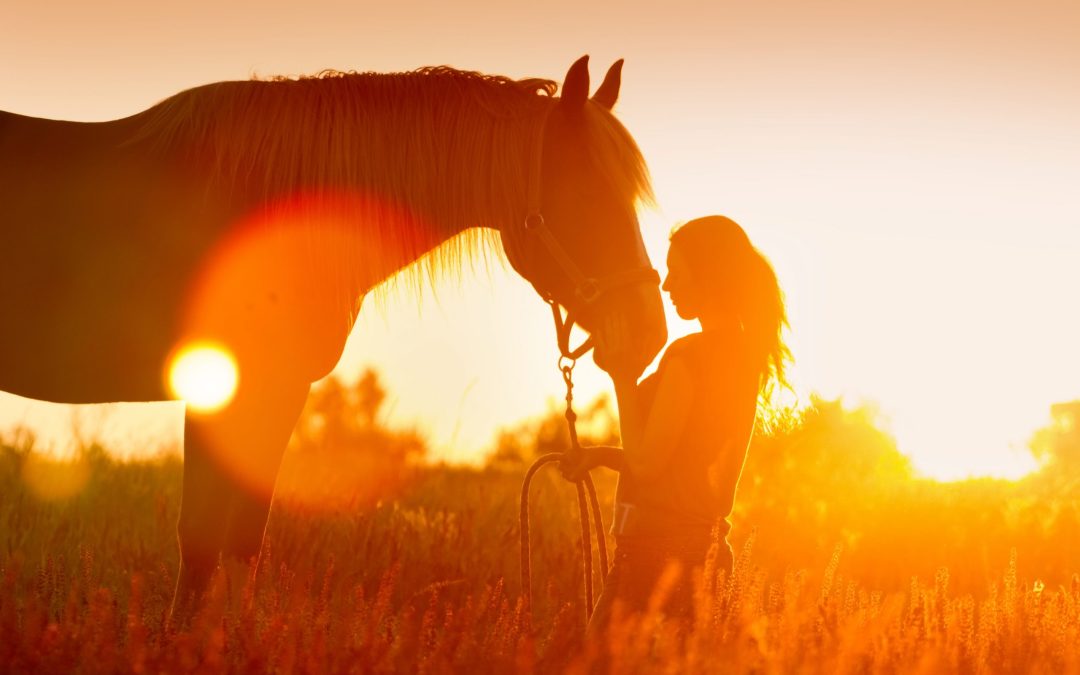 Psychologies tries out… equine coaching
