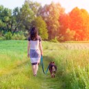 Mindful dog walking: create calmer walks for you & your dog
