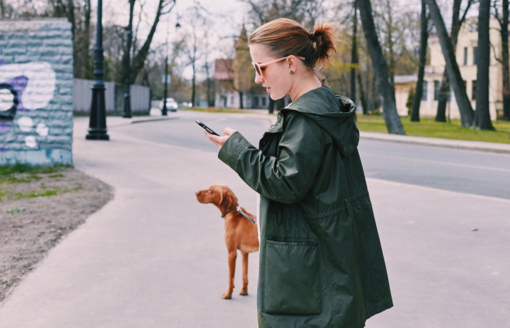 mindful dog walking