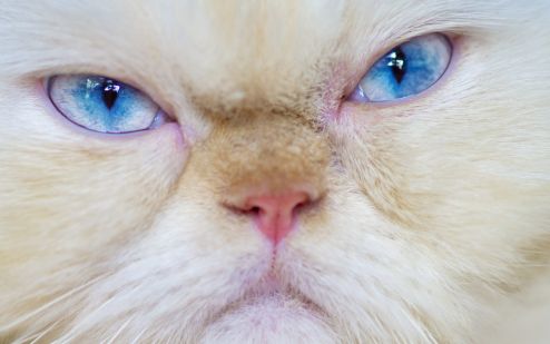 8 tips to enhance your emotional intelligence and be more self aware