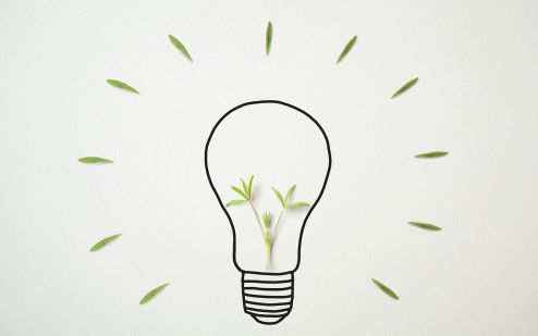 A guide to green energy