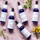 Survive the menopause with flower essences