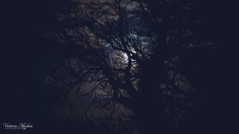 Samhain