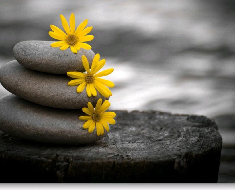 Take four steps forward to better wellbeing