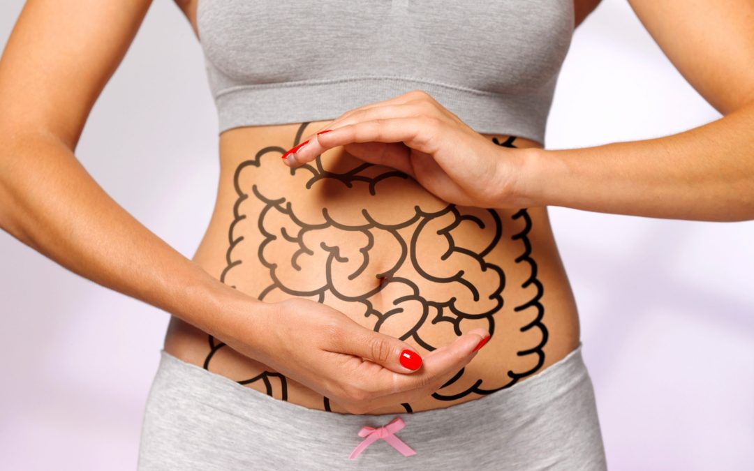 The innumerable benefits of probiotics