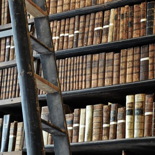 Poly-cultural multipotentiality