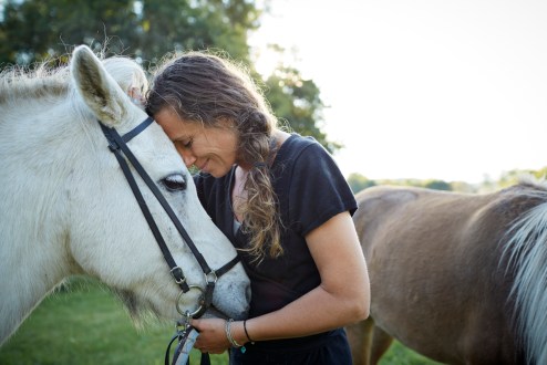 The healing power of horses