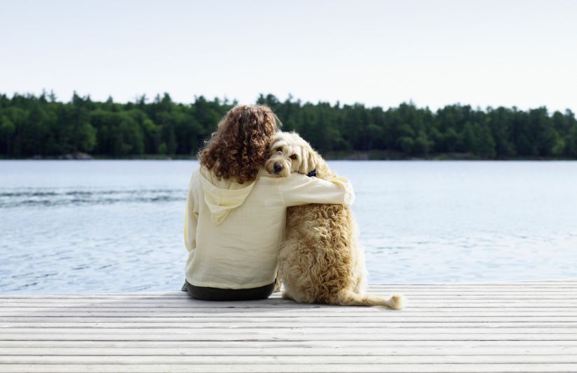 More than just good friends? The psychological benefits of dog ownership