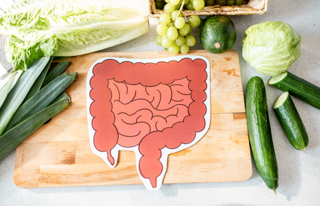 how to improve your gut health microbiome
