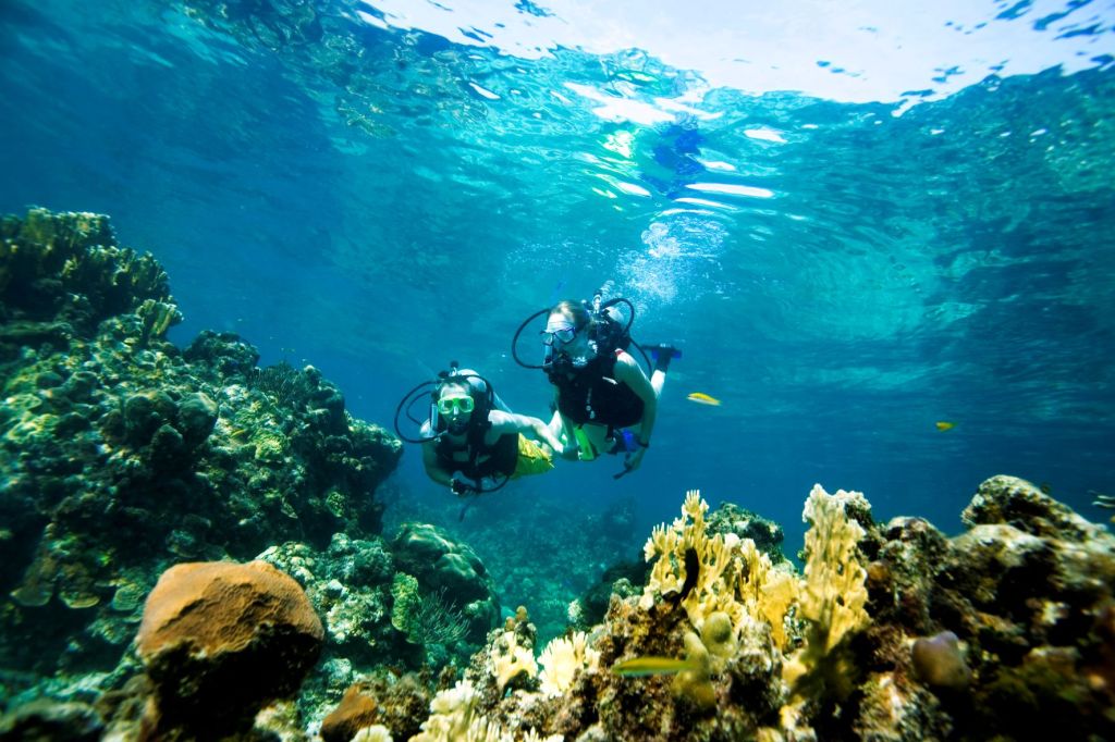 la plongée sous-marine pour la pleine conscience la méditation sous-marine réduit le stress