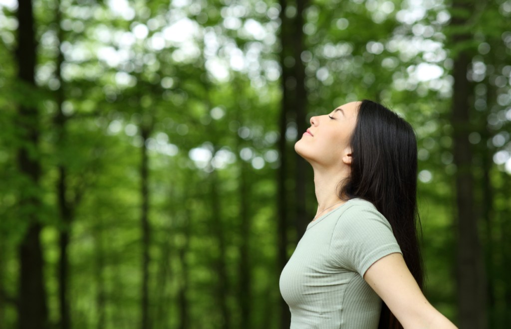 mindfulness walking meditations