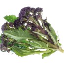 Purple sprouting broccoli health benefits