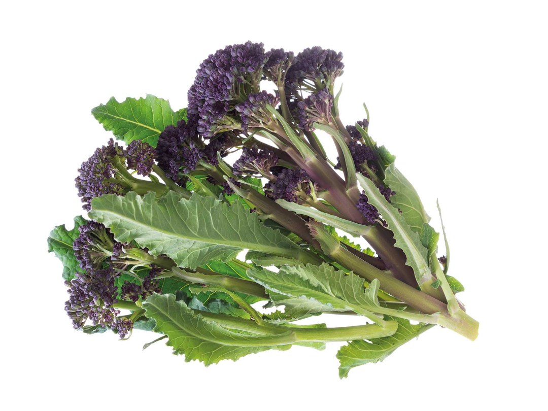 Purple sprouting broccoli health benefits