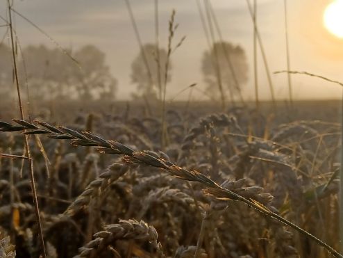 Some coaching questions for 2023