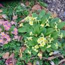 A spring in your step