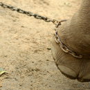 Releasing self from the chains of the Past