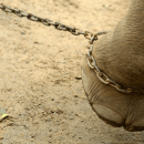 Releasing self from the chains of the Past
