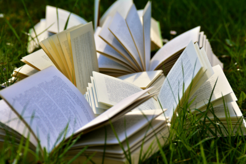 The Magic of Storytelling and Poetry