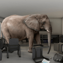 An Elephant and Powerful Lessons on Perspective, Truth, and Judgment