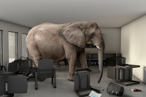 An Elephant and Powerful Lessons on Perspective, Truth, and Judgment