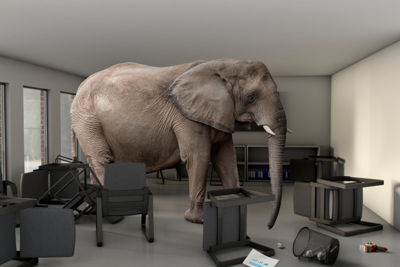 An Elephant and Powerful Lessons on Perspective, Truth, and Judgment