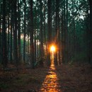 Stop Scattering Your Energy: How to Reclaim Focus and Thrive