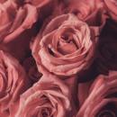 My Perimenopause Diaries