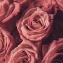 My Perimenopause Diaries